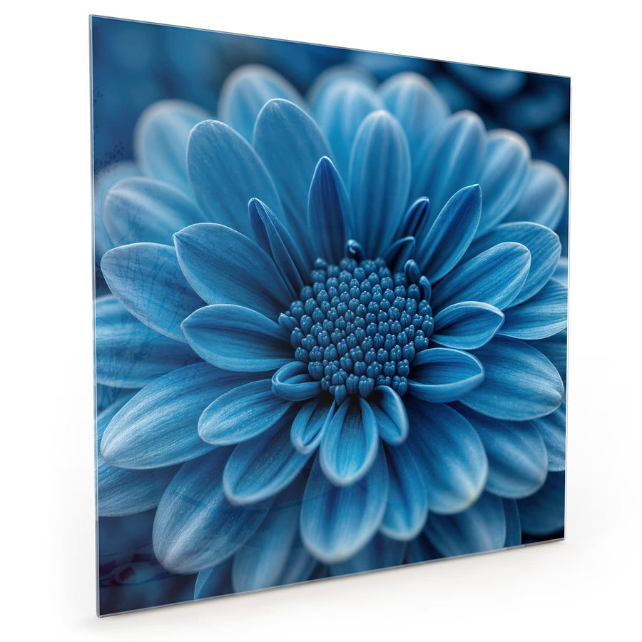 Maße Küchenrückwand Blaue Chrysantheme aus Glas