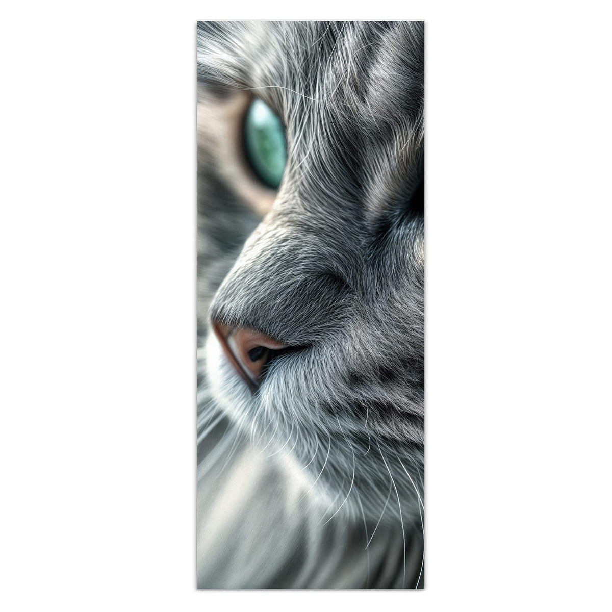 Graue Langhaarkatze im Halbprofil, große türkisgrüne Augen, Fell in Nahaufnahme