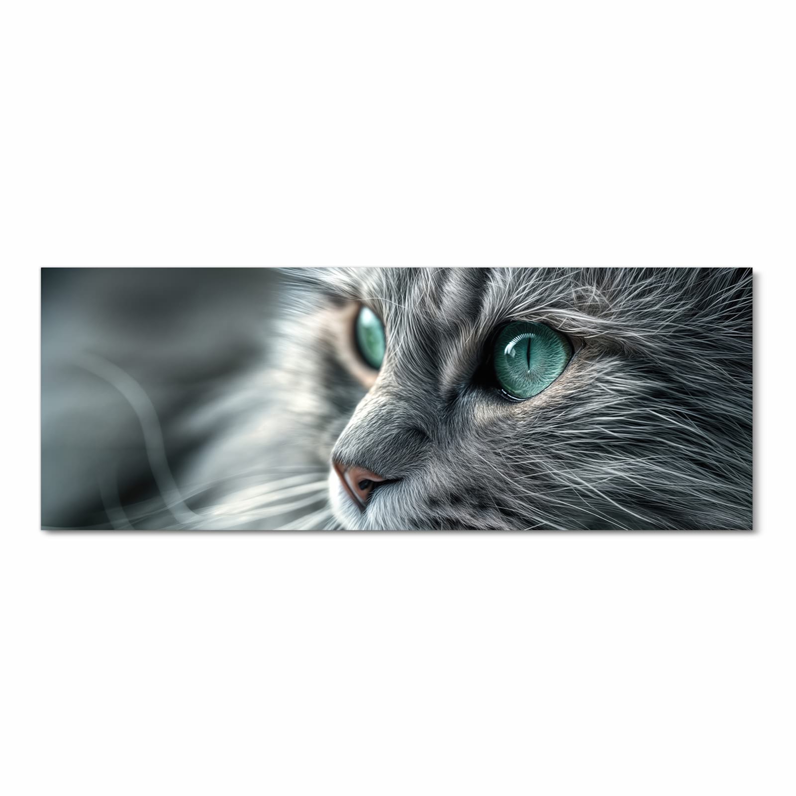 Zeitsparender Küchenteppich mit Motiv Katze von Nahaufnahme in Frontansicht