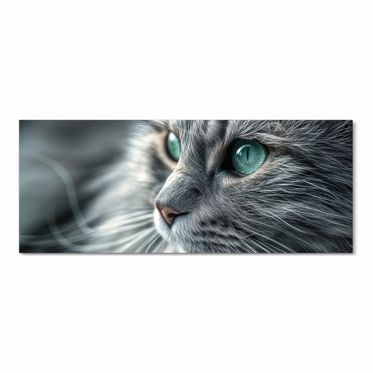 Graue Langhaarkatze im Halbprofil, große türkisgrüne Augen, Fell in Nahaufnahme