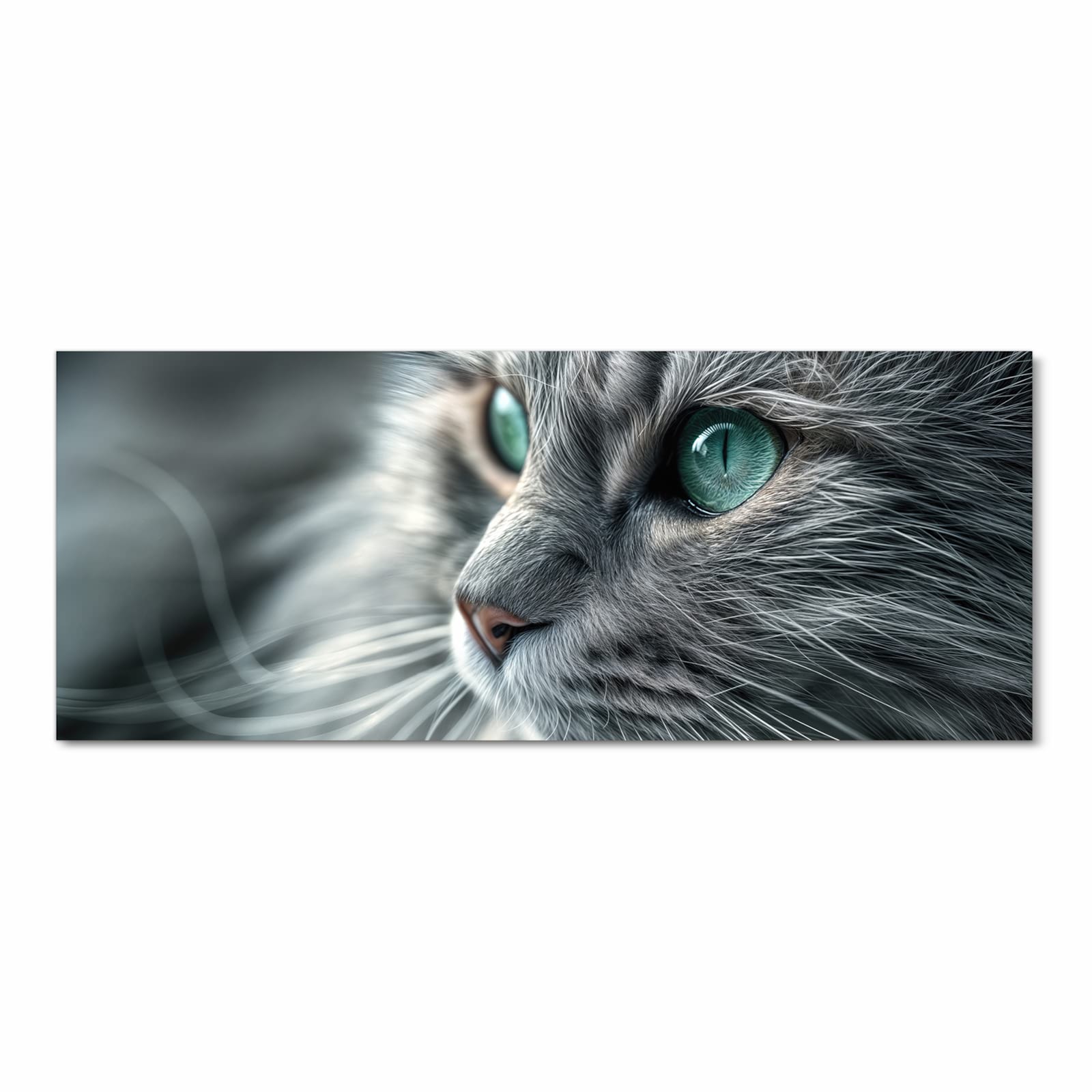 Langlebiger waschbarer Küchenläufer mit Motiv Katze von Nahaufnahme in Frontansicht