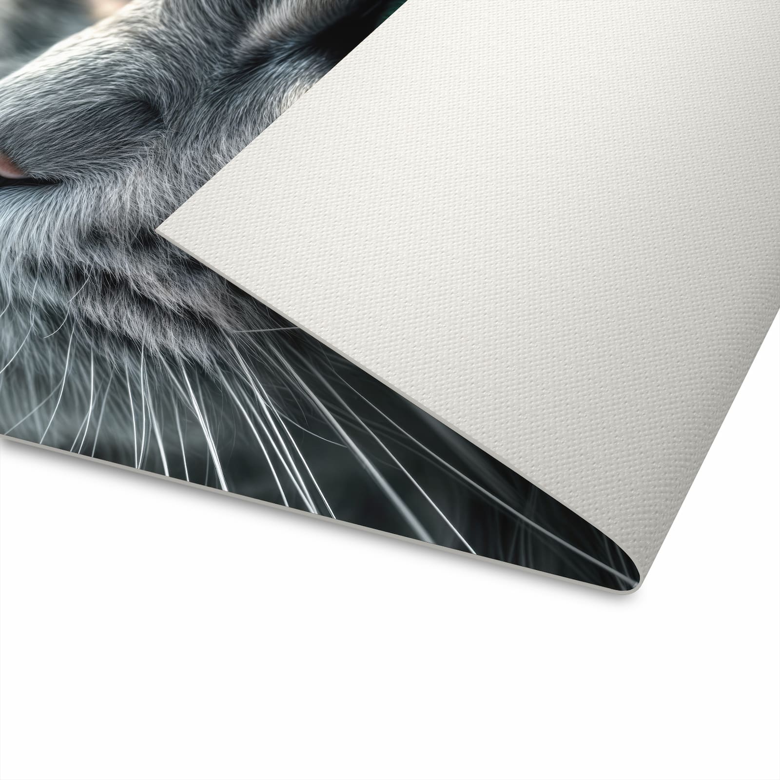 UV-beständiger abwaschbarer Küchenläufer mit Motiv Katze von Nahaufnahme in der Unterseite