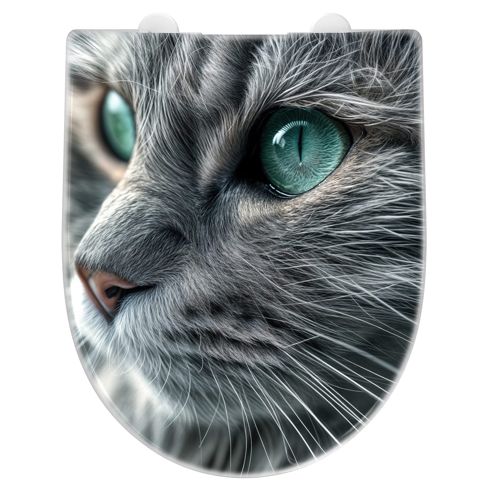 WC-Sitz mit Absenkautomatik Katze von Nahaufnahme