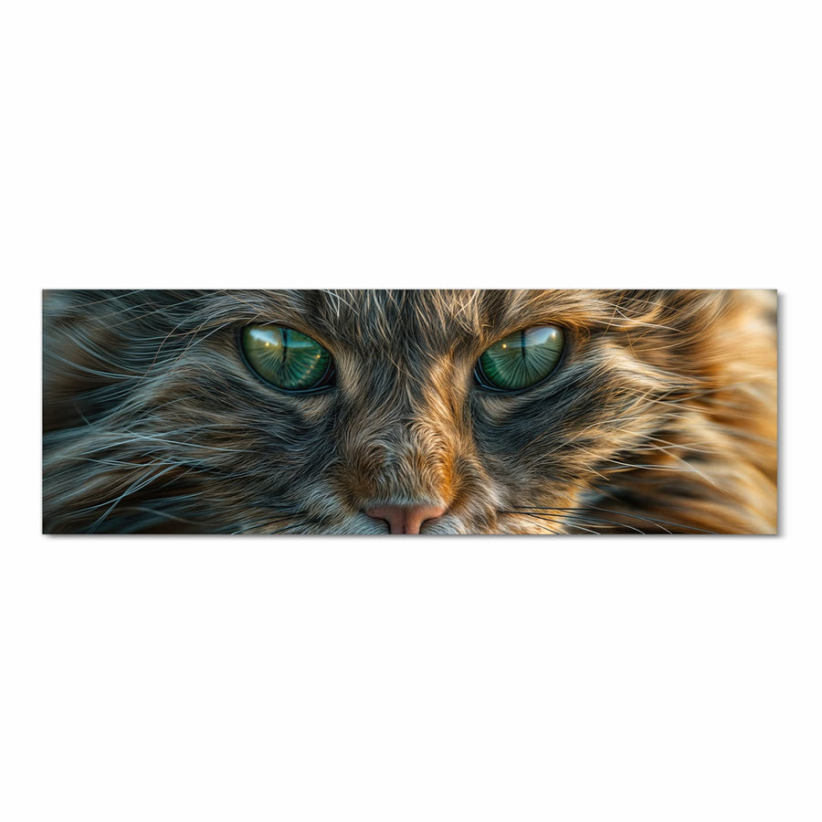 Maße Küchenläufer - Getigerte Katze