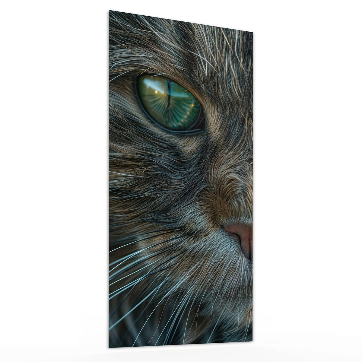 Glasbild Getigerte Katze von der Seite, 4 mm Echtglas
