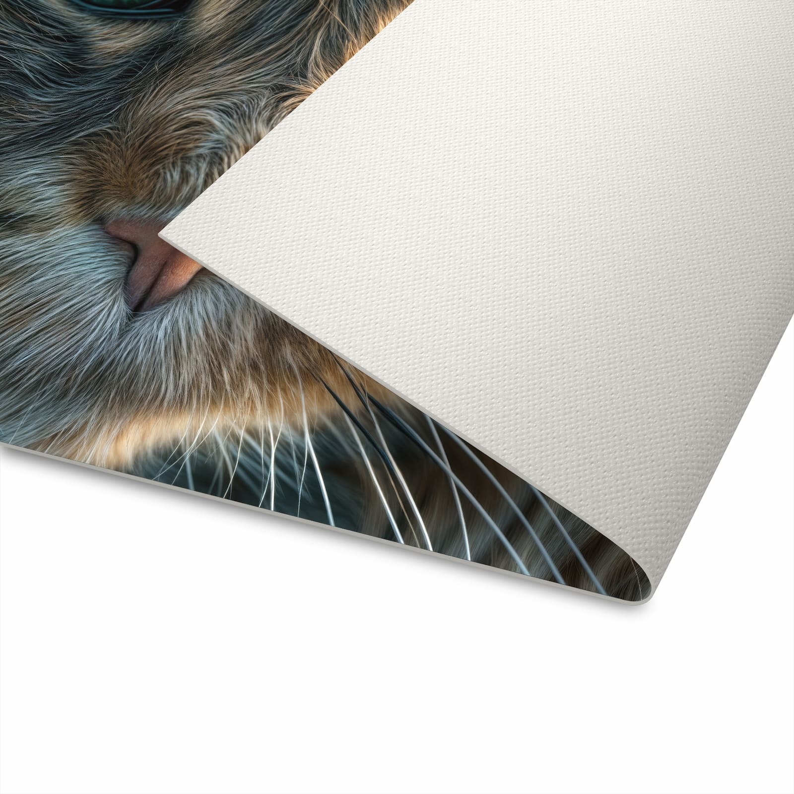 Küchenläufer - Nahaufnahme Katze