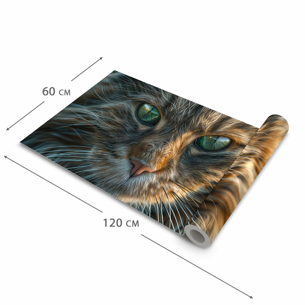 Küchenläufer Getigerte Katze zusammengerollt