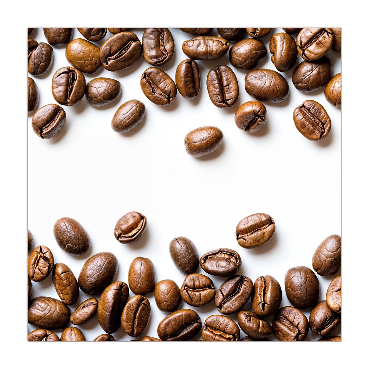 Kaffeebohnen, die oben und unten einen weißen, freien Bildmittelteil umrahmen