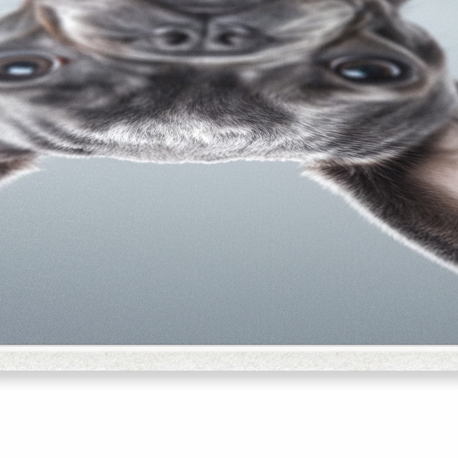 Waschbarer Küchenläufer mit Motiv Französische Bulldogge in seitlicher Ansicht für sichere Aufbewahrung