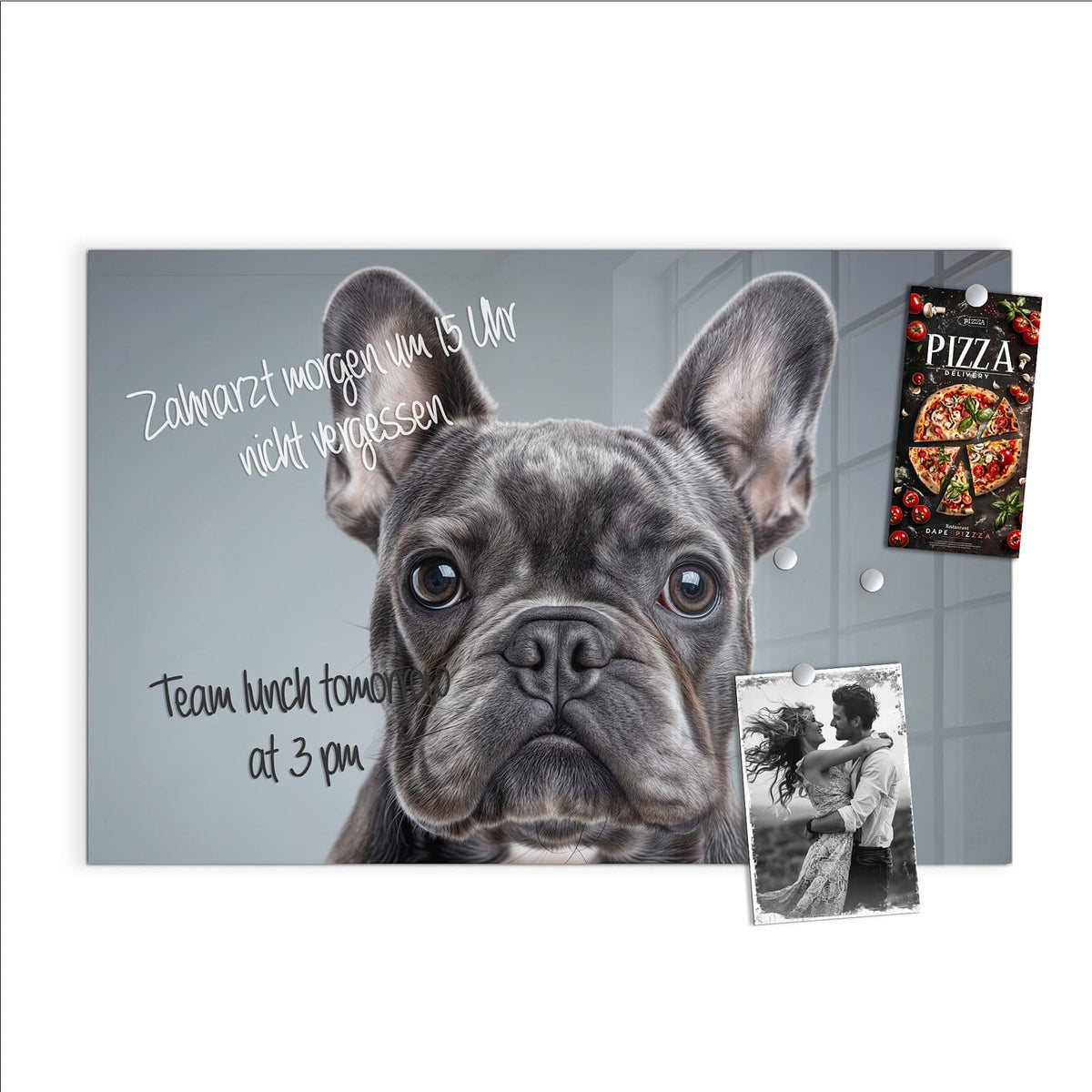 Beschreiben, abwischen, anheften – Magnettafel - Französische Bulldogge