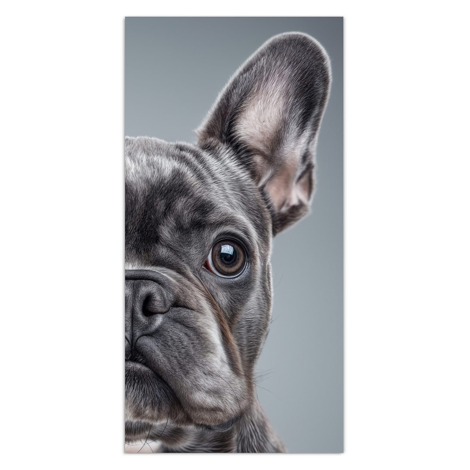 #grösse_30 x 60 cm #grösse_40 x 80 cm #grösse_50 x 100 cm #grösse_55 x 110 cm #grösse_60 x 120 cm