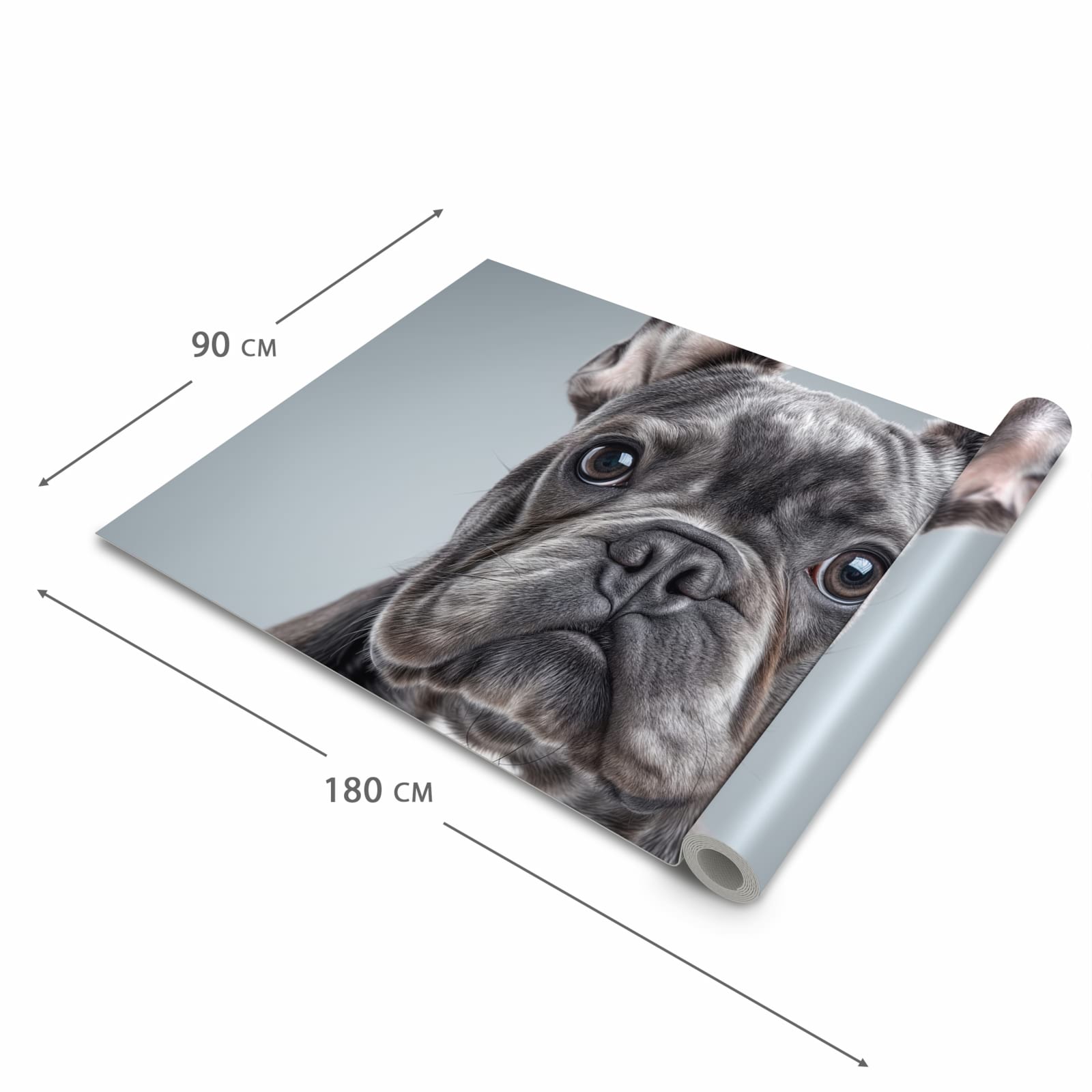 Waschbarer Küchenteppich mit Motiv Französische Bulldogge in der Grösse 90x240 cm