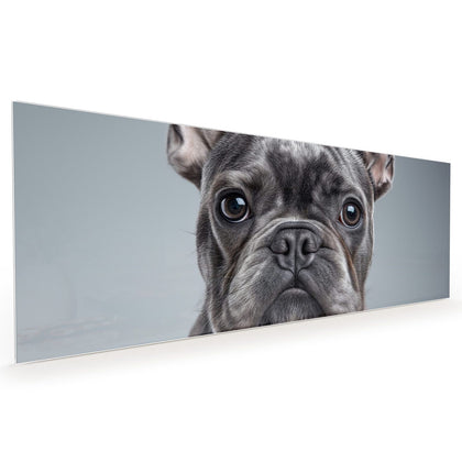 Küchenrückwand mit dem Motiv Französische Bulldogge