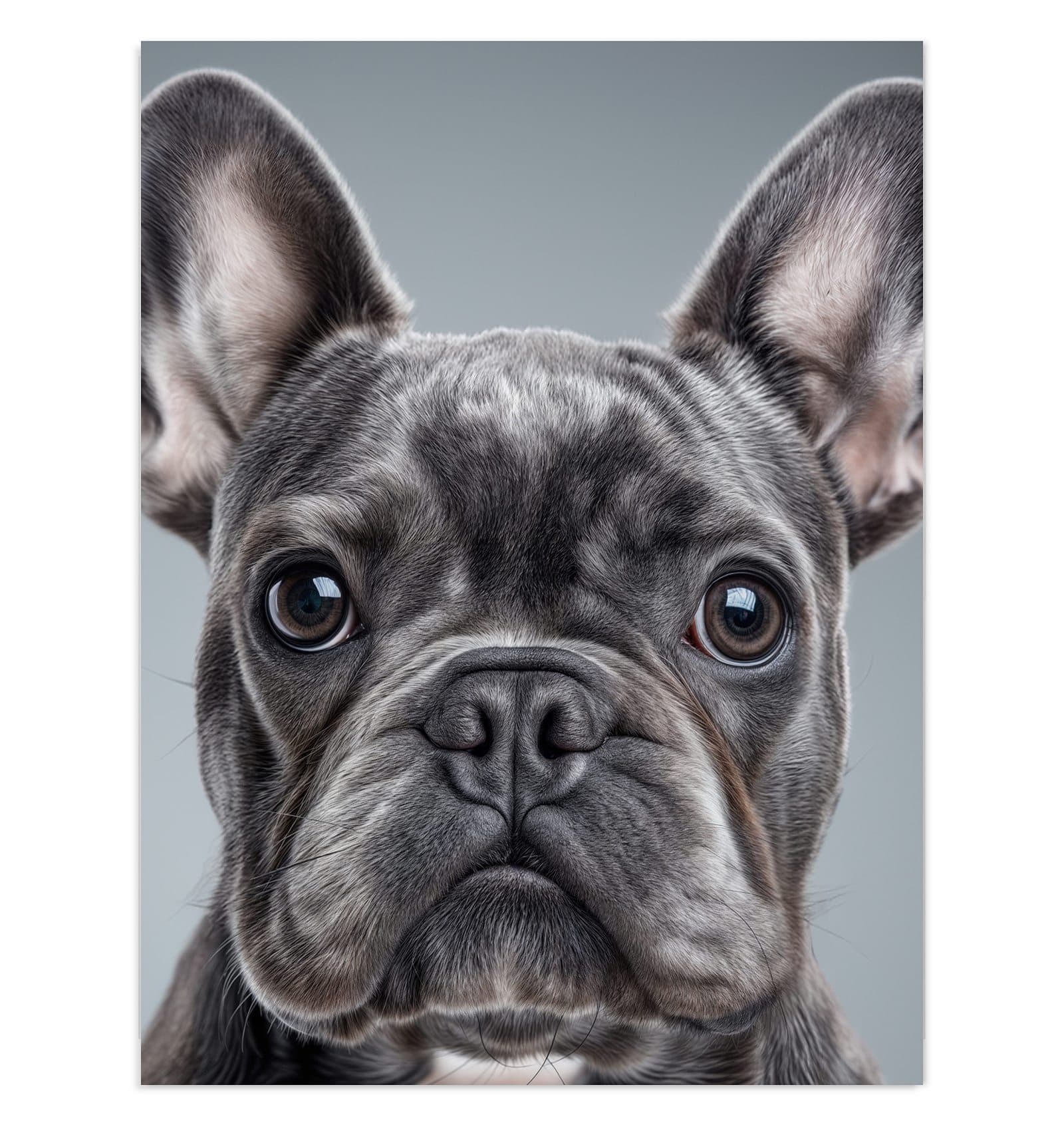 #grösse_30 x 40 cm #grösse_60 x 80 cm #grösse_75 x 100 cm