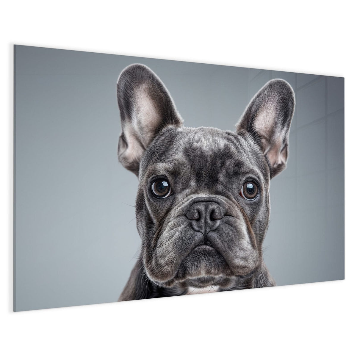 4 mm Glas statt lackiertem Blech – Magnettafel - Französische Bulldogge