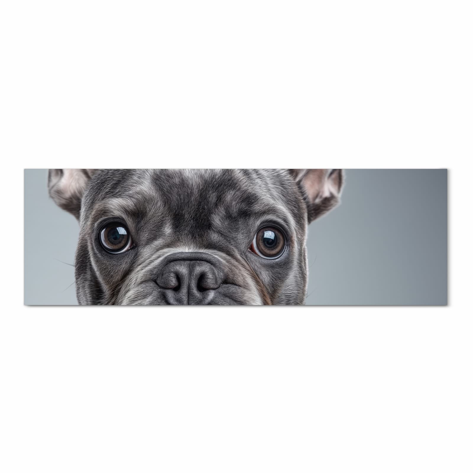 Farbbeständiger dünner Küchenteppich mit Motiv Französische Bulldogge in Frontansicht, waschbar