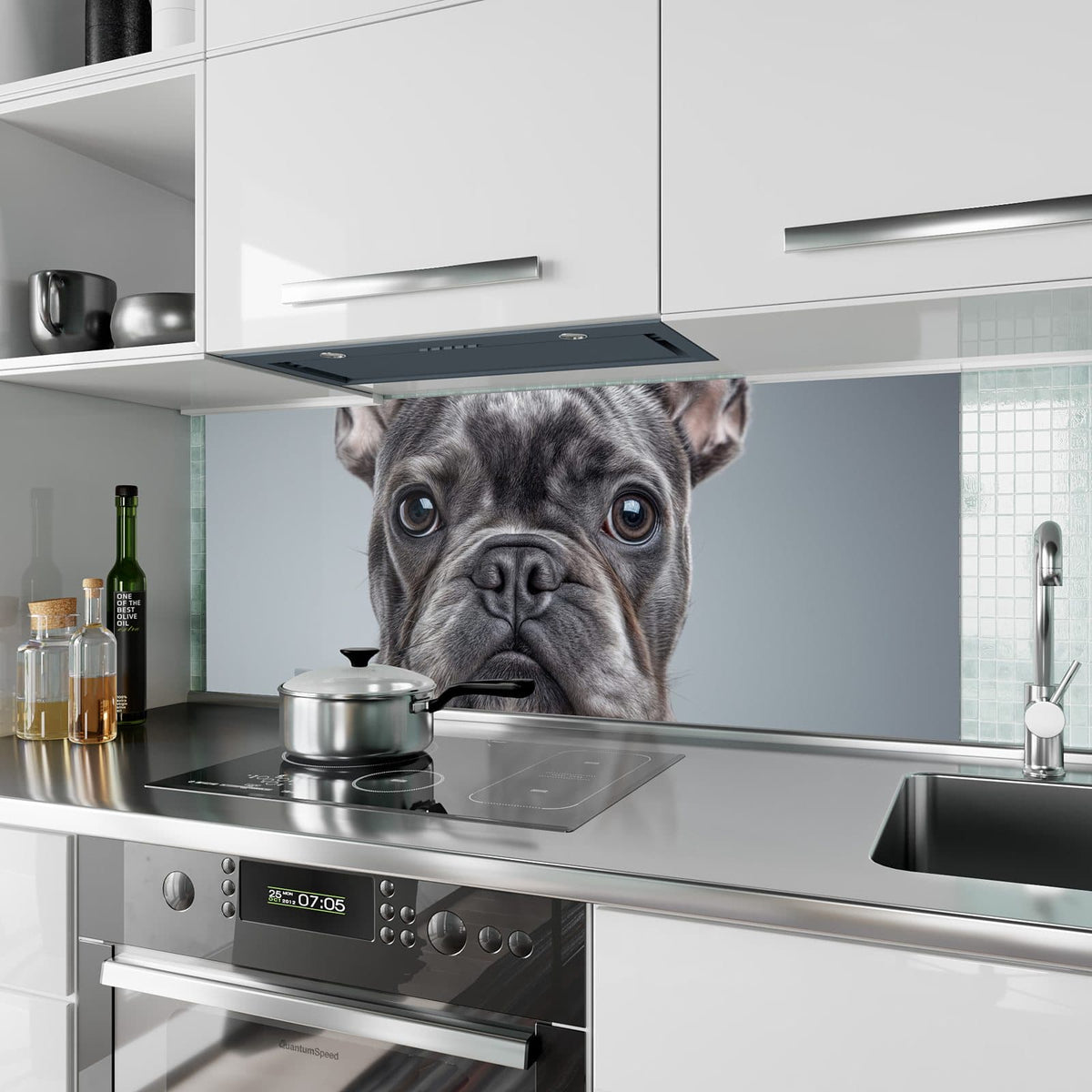 Küchenrückwand aus Glas Französische Bulldogge im Hochformat als Spritzschutz hinter dem Kochfeld, über dem Fliesenspiegel montiert