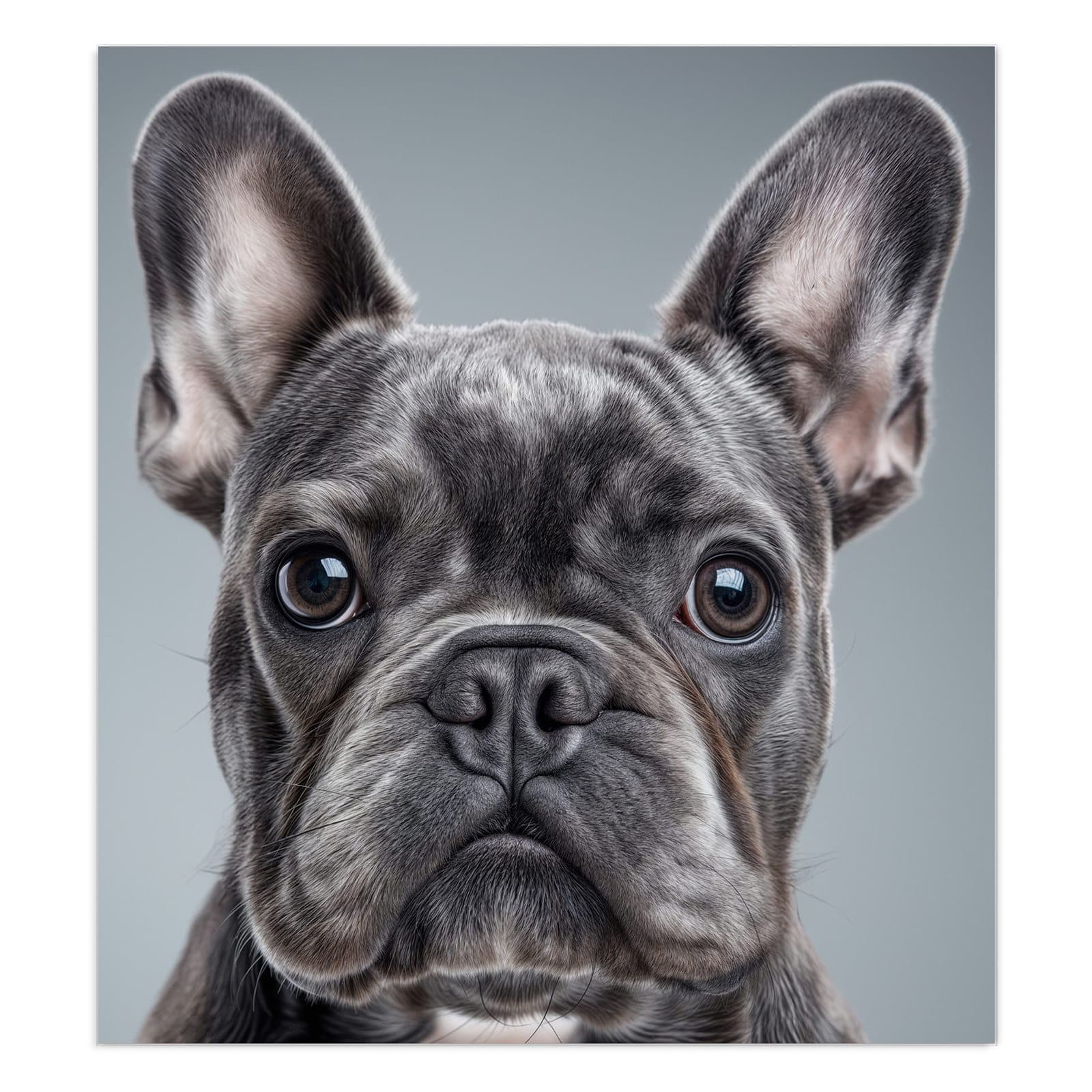 #grösse_90 x 100 cm