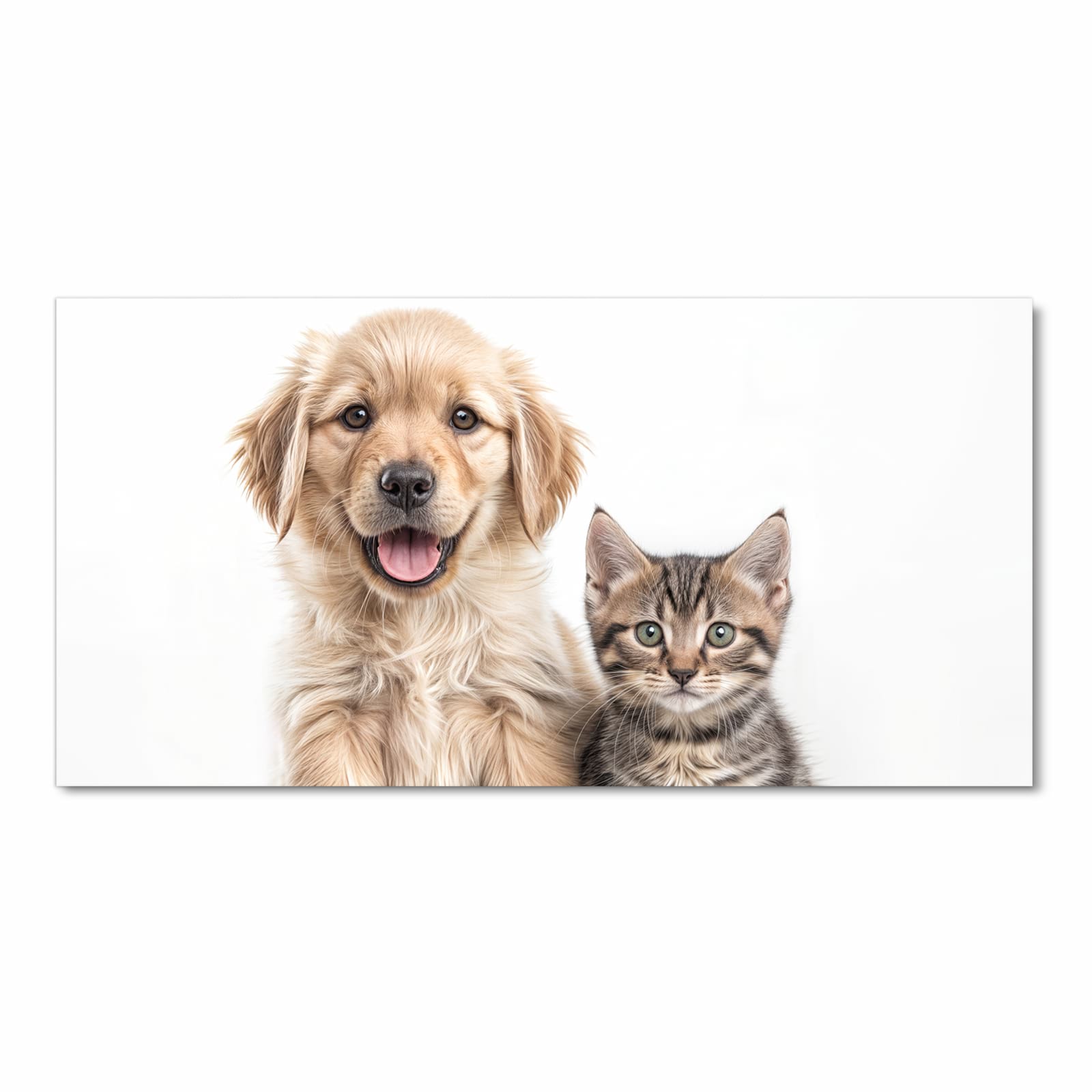 Feuchtigkeitsresistenter Küchenteppich mit Motiv Katze und Hund in Frontansicht