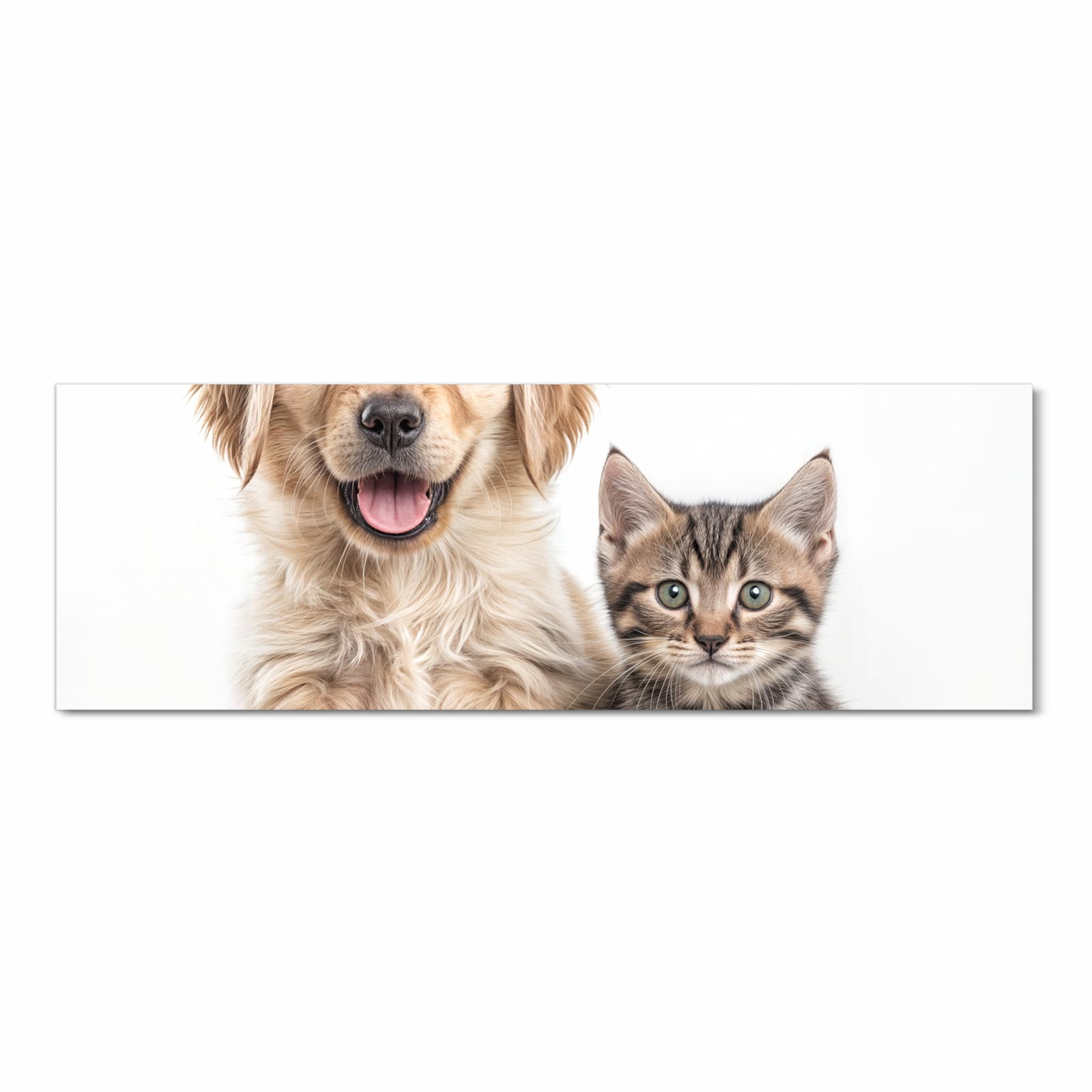 Ordnungsschaffender Küchenteppich mit Motiv Katze und Hund in Frontansicht für Übersicht