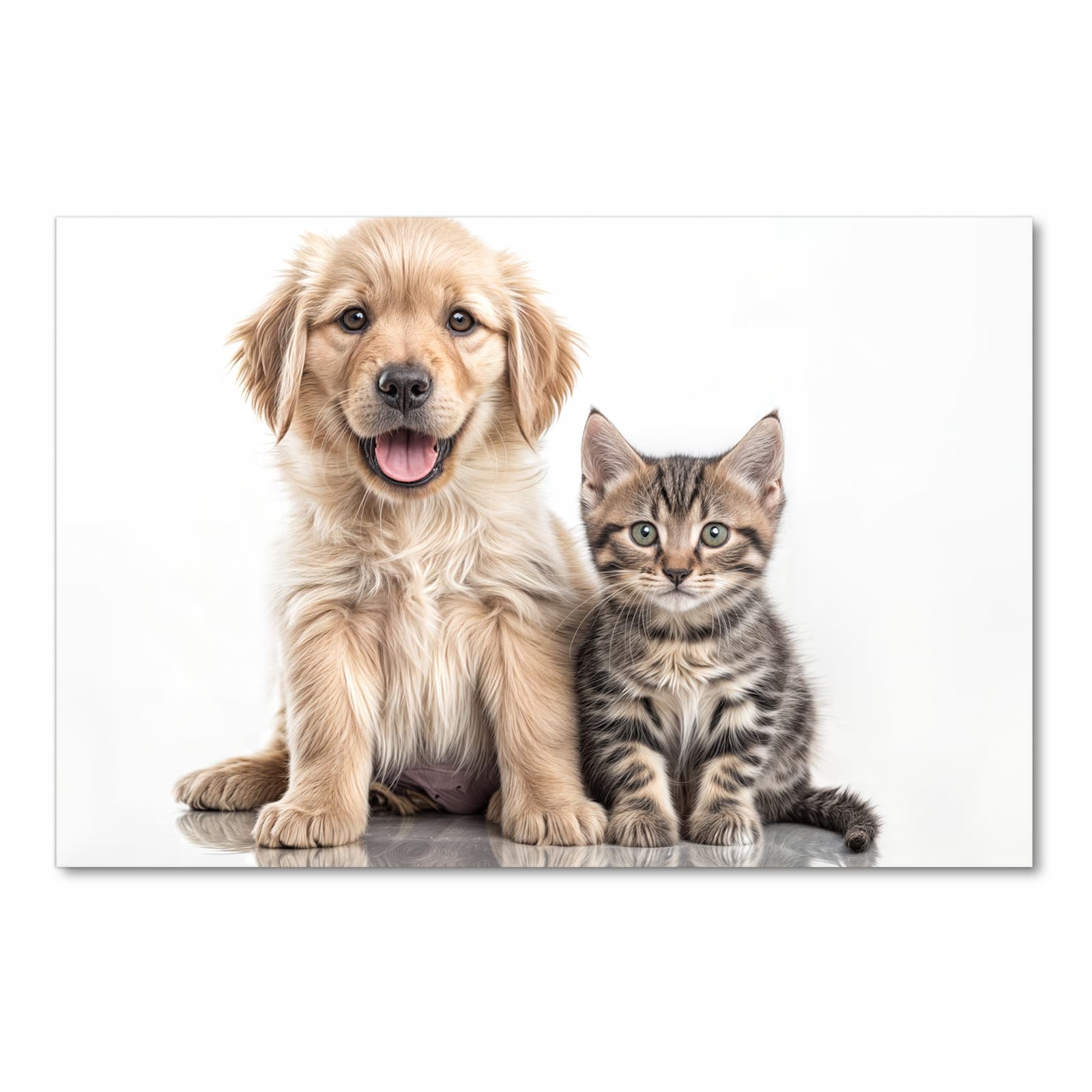 Küchenteppich mit Motiv Katze und Hund in Frontansicht für sichere Aufbewahrung