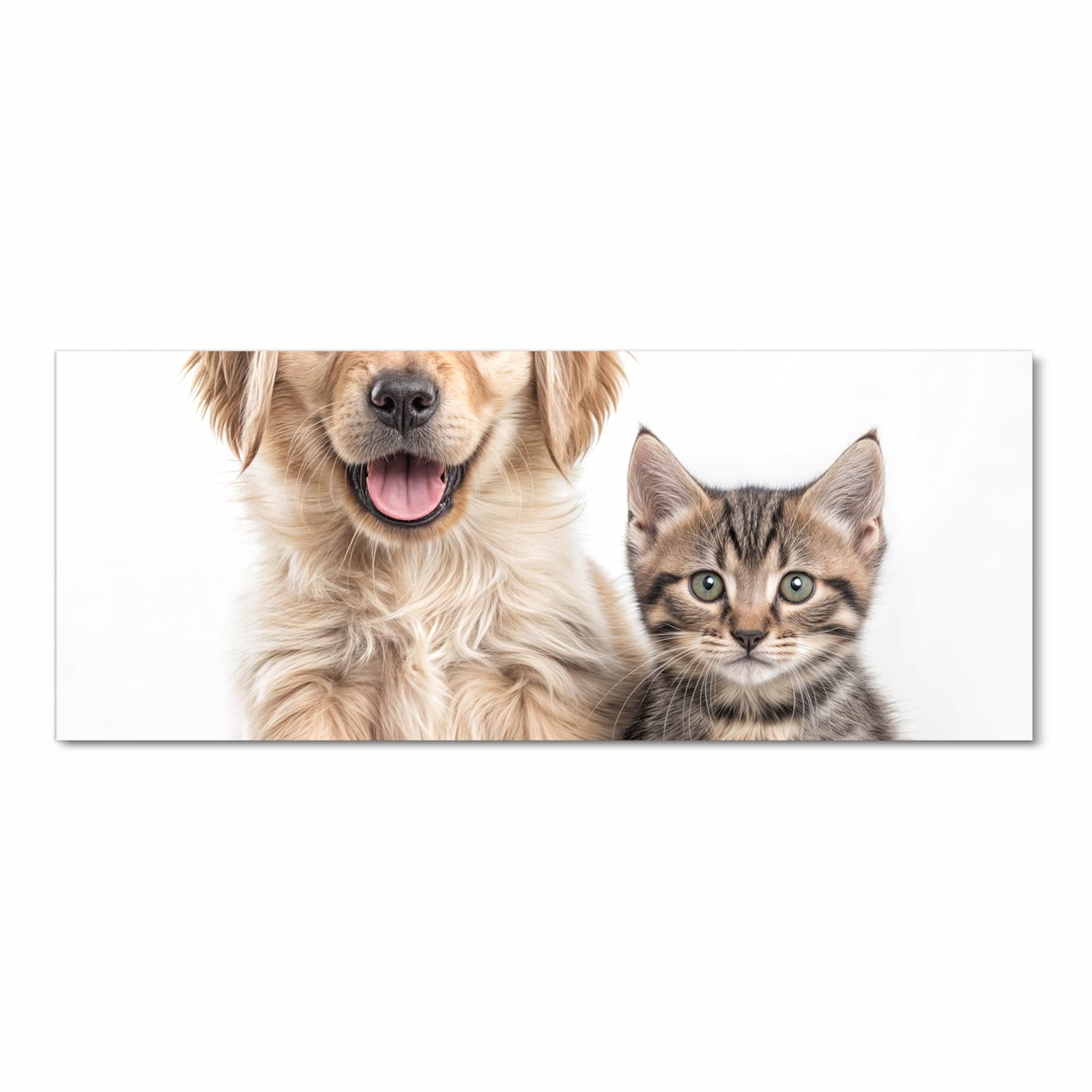 Bodenschonender Küchenteppich mit Motiv Katze und Hund in Frontansicht