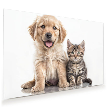 Wandbild mit dem Motiv Retriever und Kätzchen