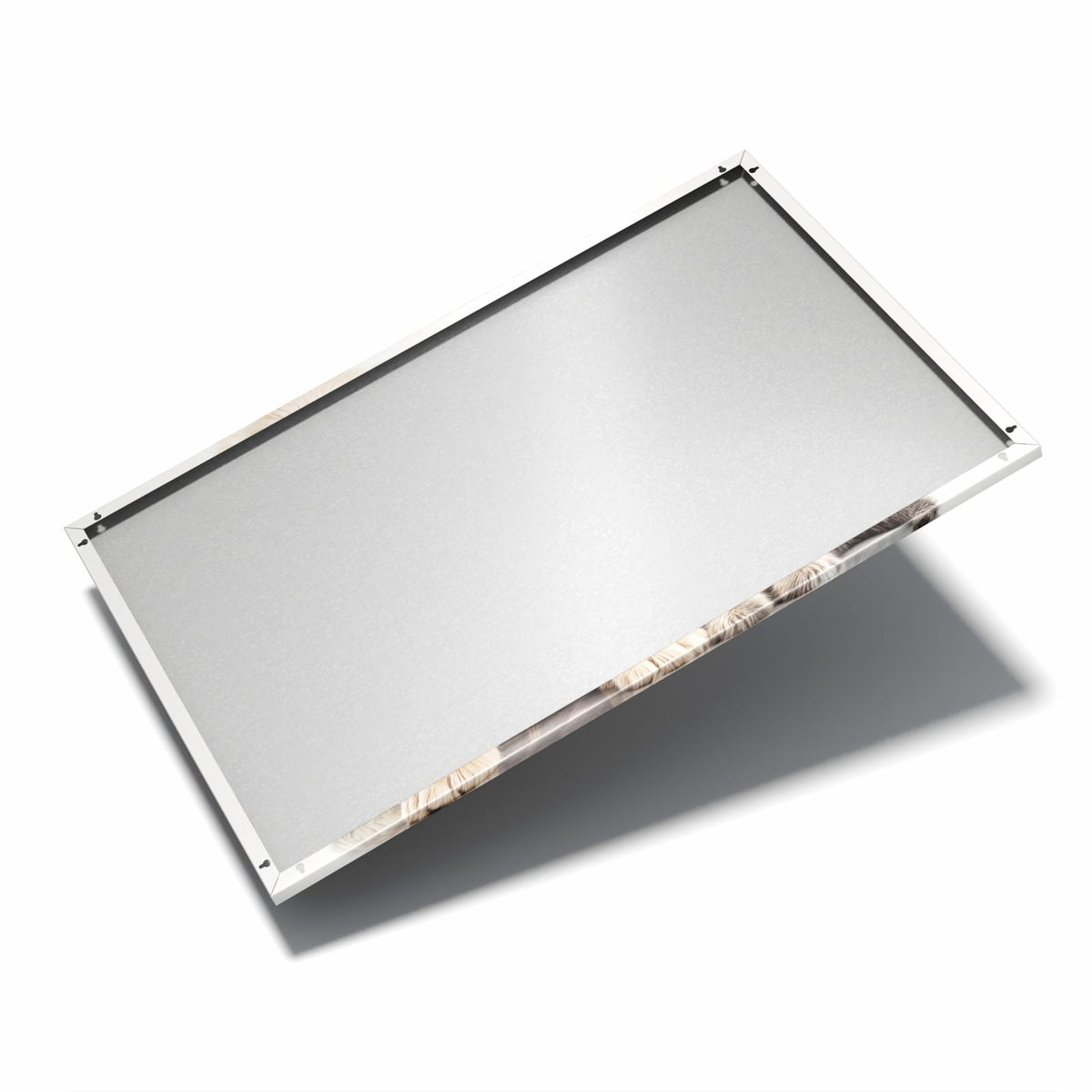 Nur 7 mm – liegt eng an der Wand – Metall Magnettafel - Retriever und Kätzchen