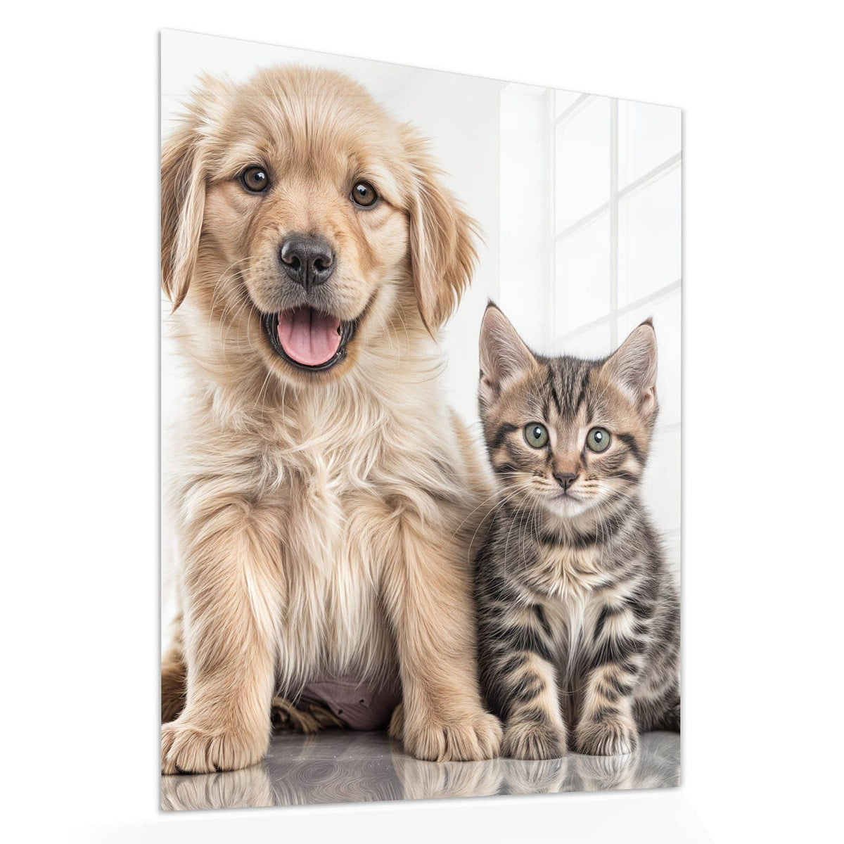 Echtglas, 4 mm – kein Acryl, keine Folie – Wandbild - Retriever und Kätzchen - Hochformat
