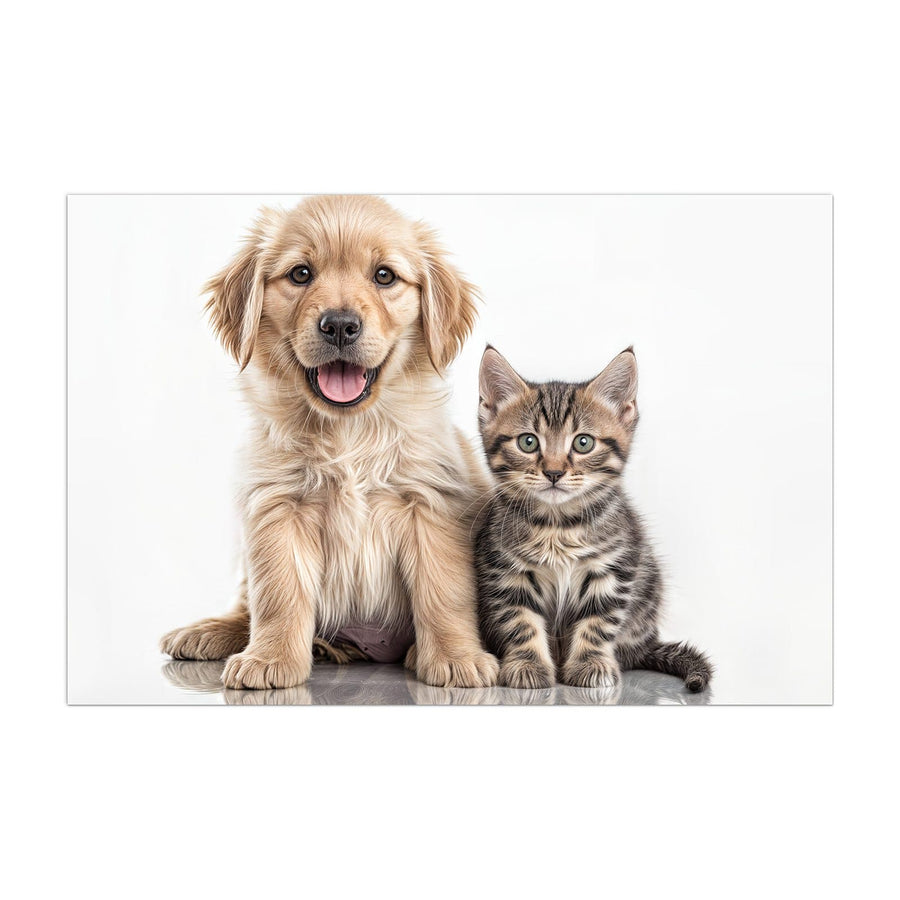 Maße Küchenrückwand Retriever und Kätzchen aus Glas