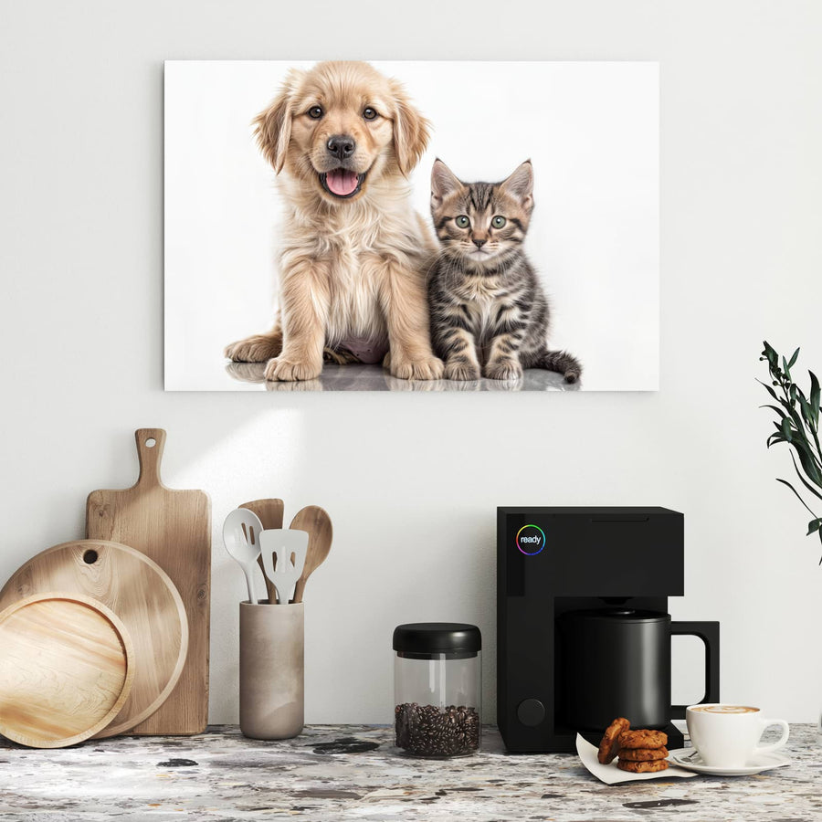 Maße Metall Magnettafel - Retriever und Kätzchen