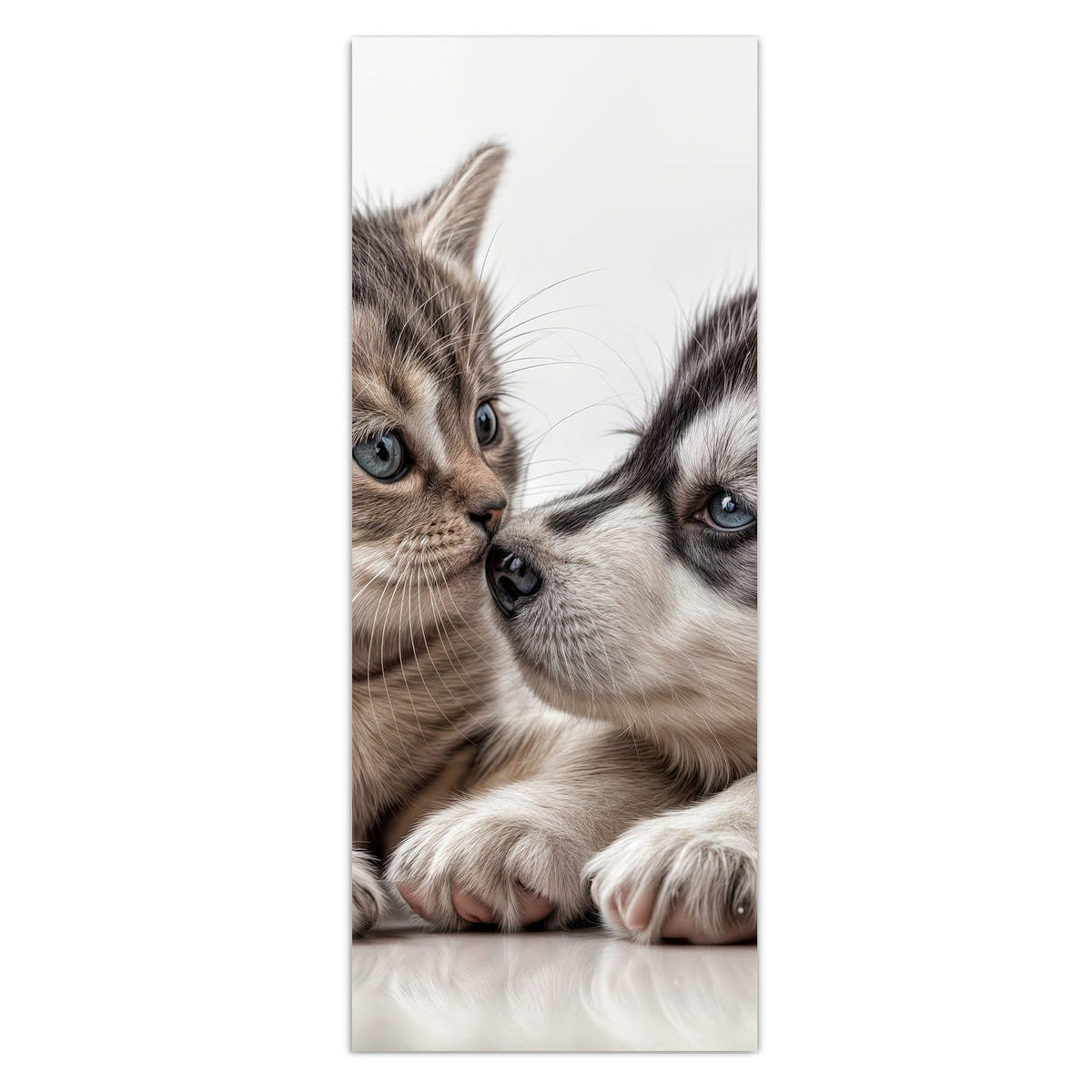 Getigertes Kätzchen und Husky-Welpe liegen Nase an Nase beieinander