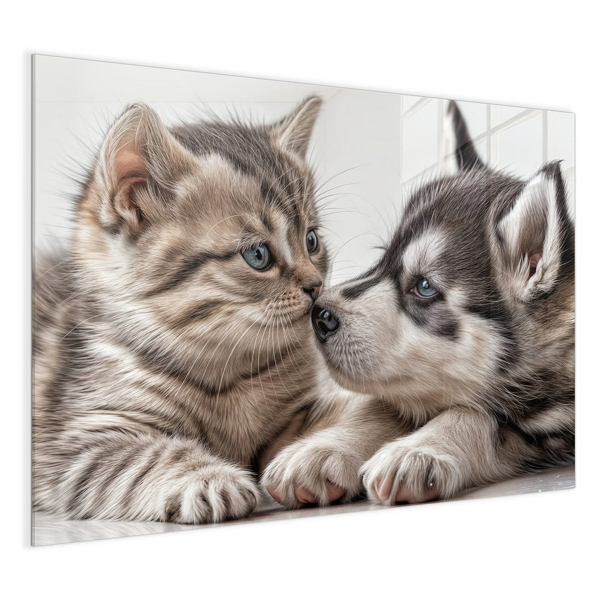 4 mm Glas statt lackiertem Blech – Glas Magnettafel - Husky und Kätzchen
