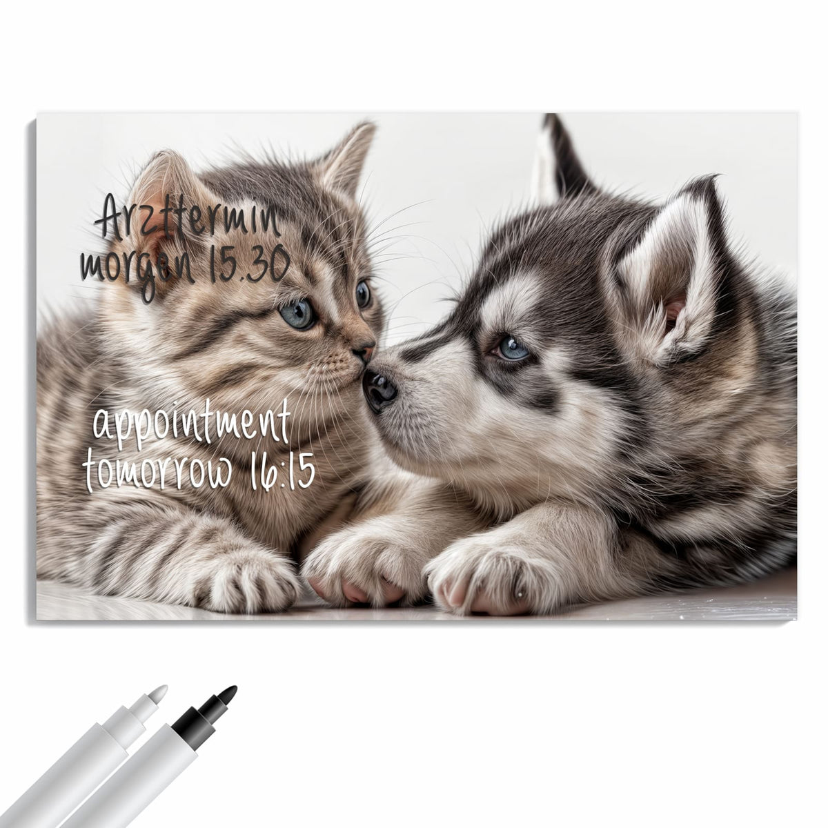 Beschreiben, abwischen, anheften – Metall Magnettafel - Husky und Kätzchen