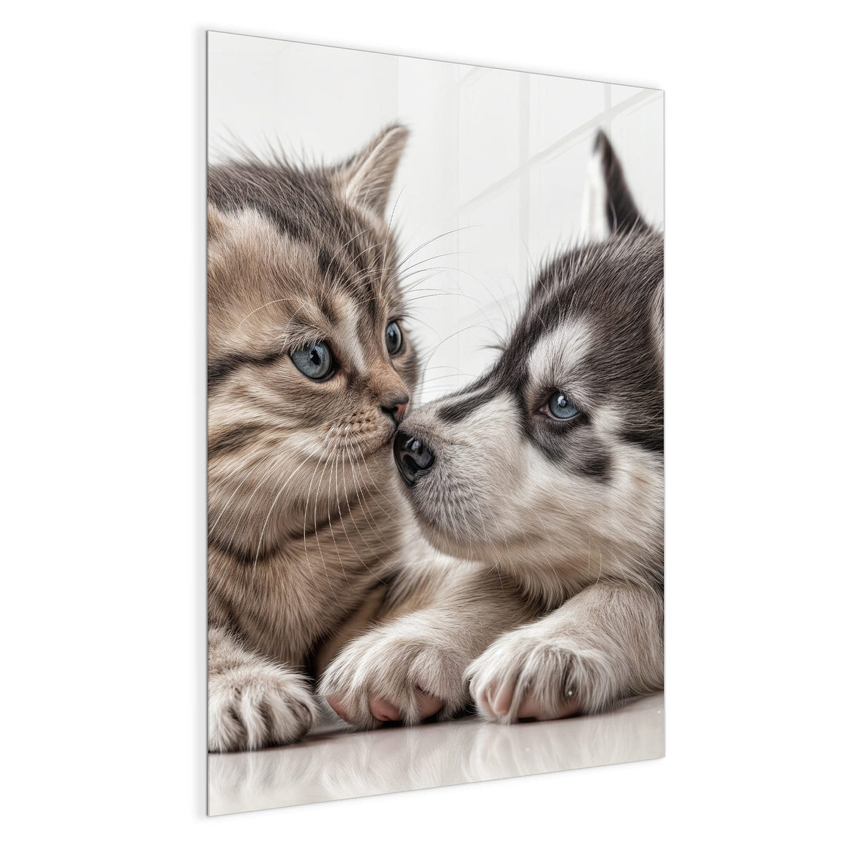 Getigertes Kätzchen und Husky-Welpe liegen Nase an Nase beieinander