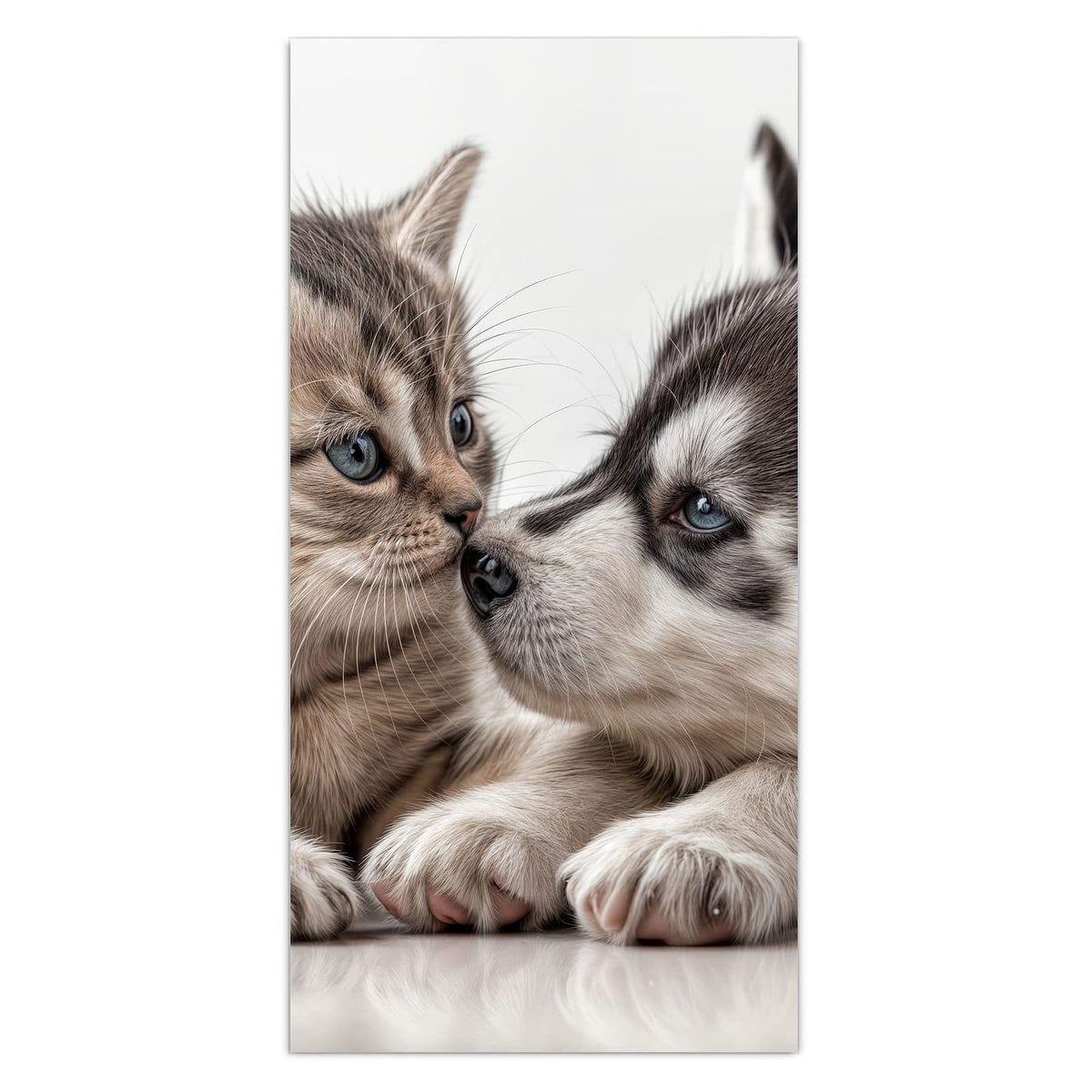 Getigertes Kätzchen und Husky-Welpe liegen Nase an Nase beieinander