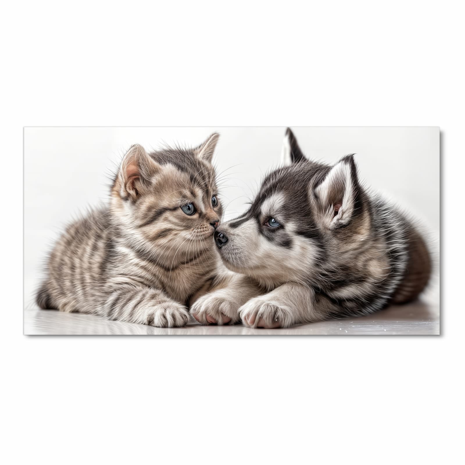 Komfortabler Küchenläufer mit Motiv Kätzchen und Welpe in Frontansicht