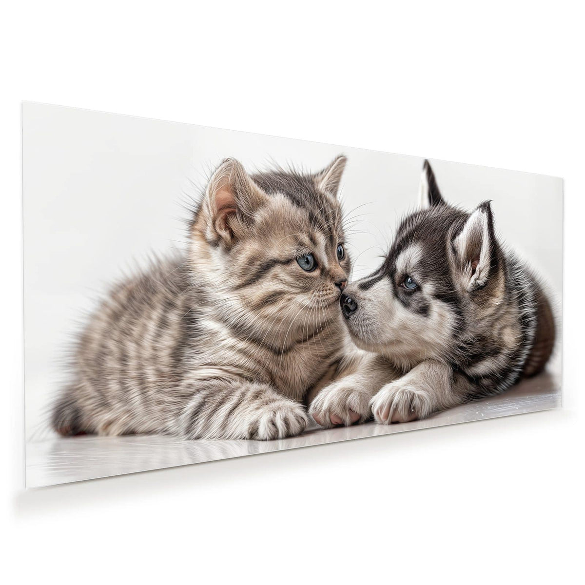 Getigertes Kätzchen und Husky-Welpe liegen Nase an Nase beieinander