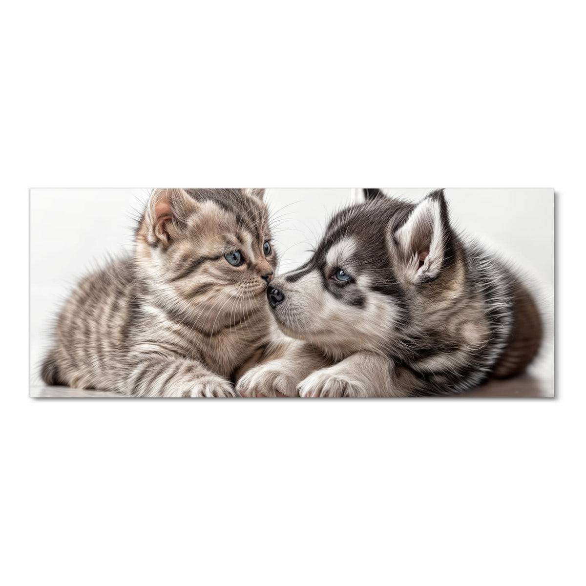 Getigertes Kätzchen und Husky-Welpe liegen Nase an Nase beieinander
