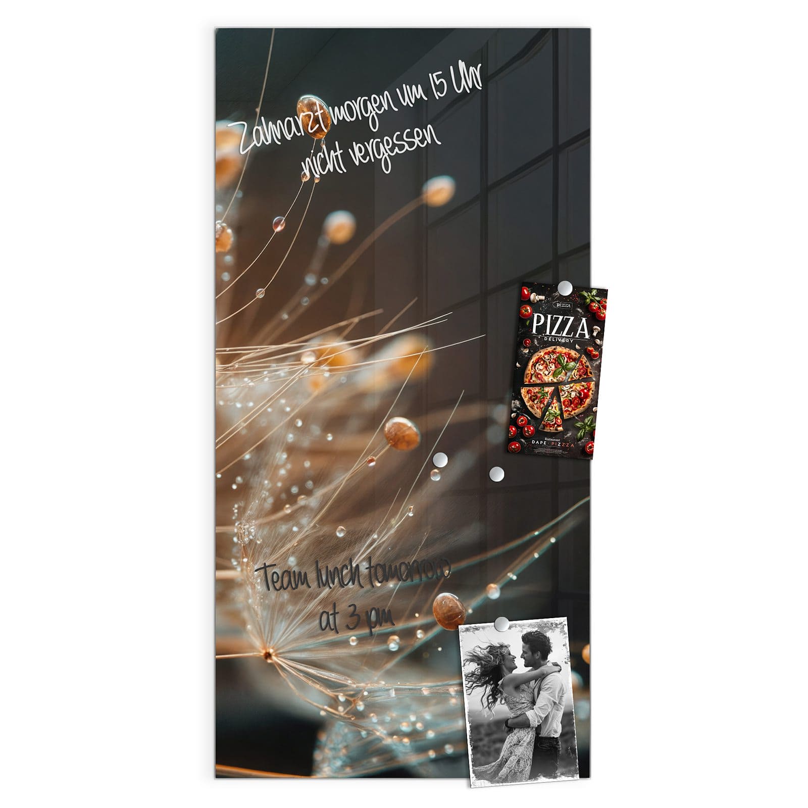 #grösse_50 x 100 cm