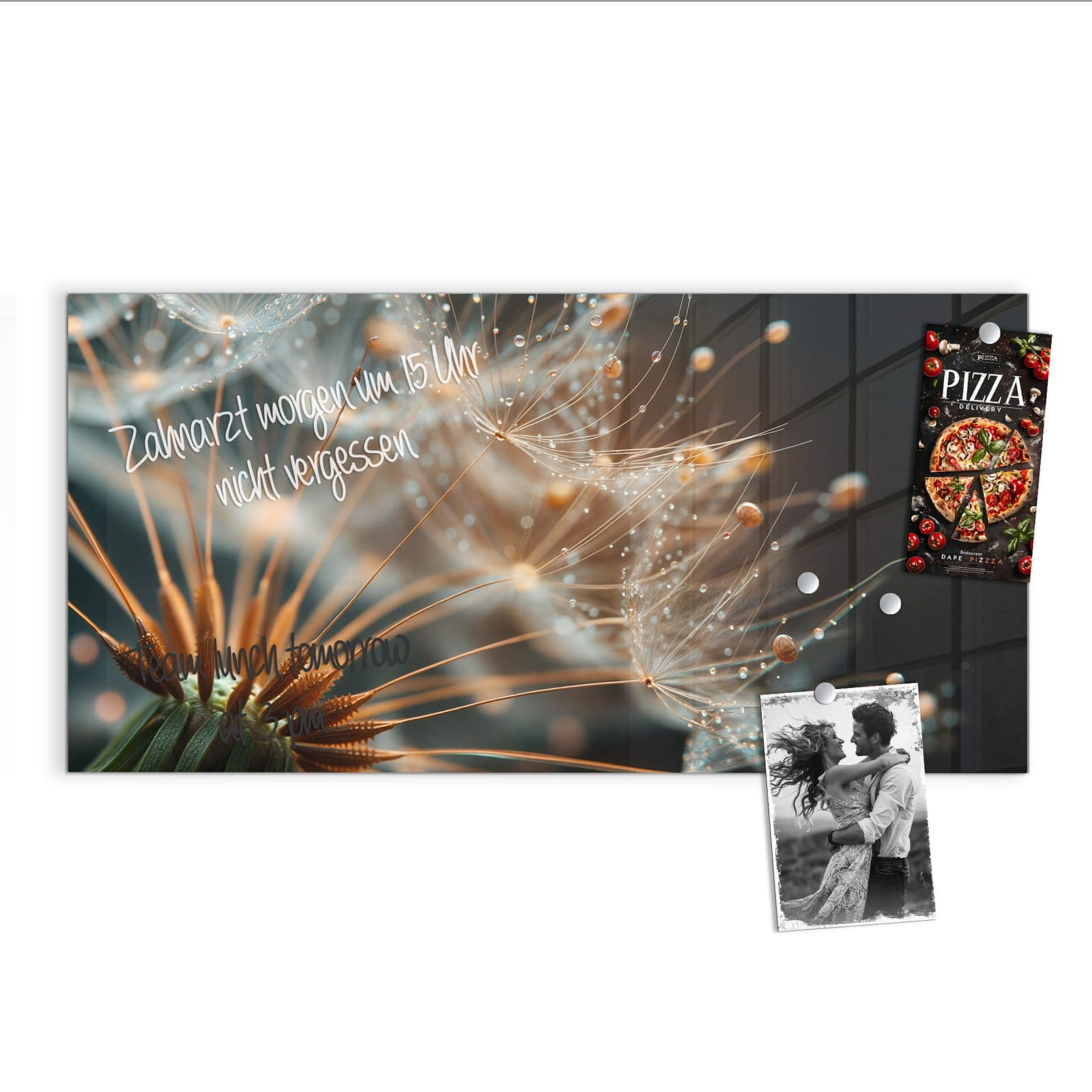 #grösse_100 x 50 cm