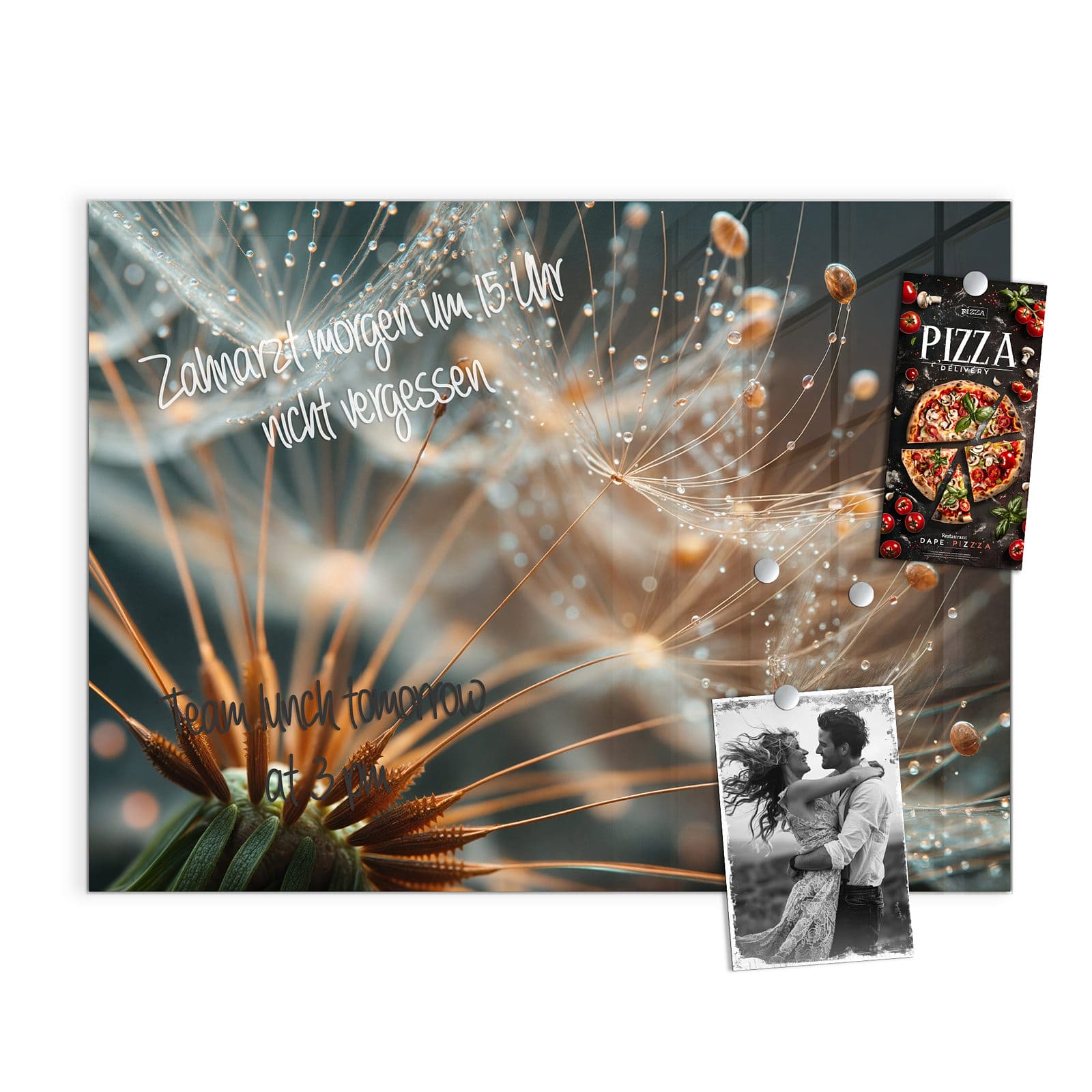 #grösse_120 x 90 cm