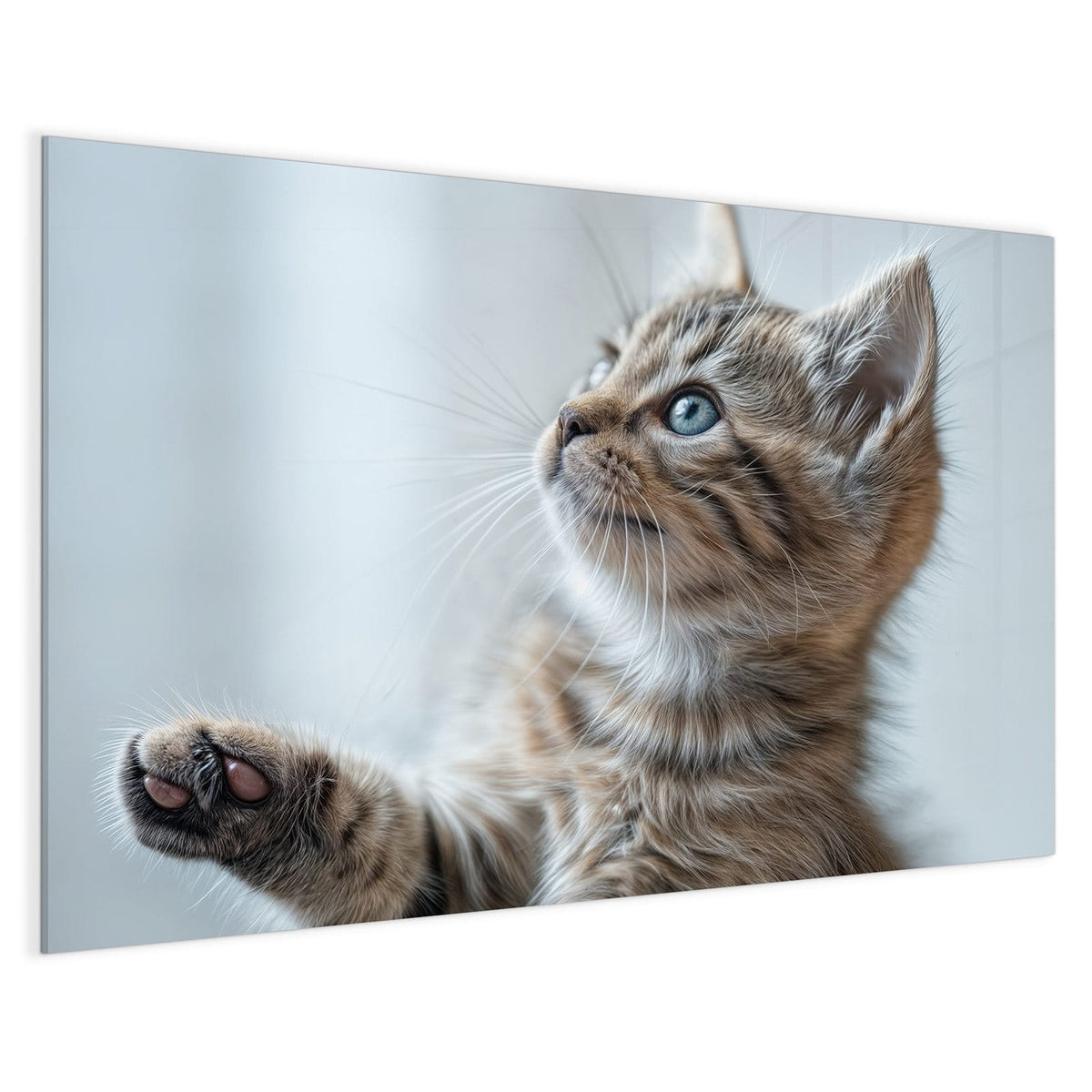 4 mm Glas statt lackiertem Blech – Magnettafel - Getigertes Kätzchen