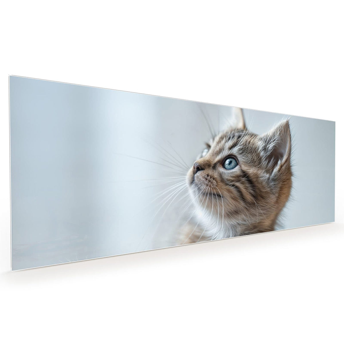 #grösse_40 x 100 cm #grösse_50 x 125 cm #grösse_60 x 150 cm