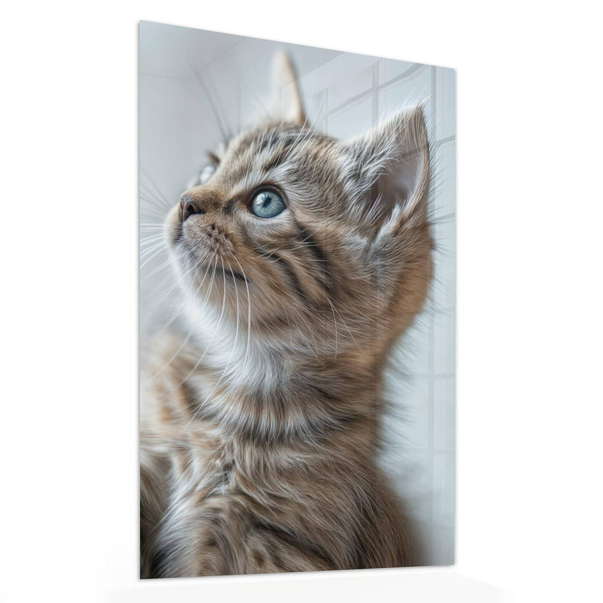 11 Größen – von 30 × 60 bis 60 × 150 cm – Wandbild - Getigertes Kätzchen - Hochformat