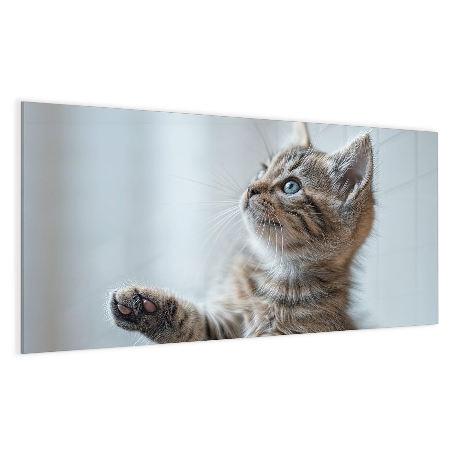 #grösse_100 x 50 cm