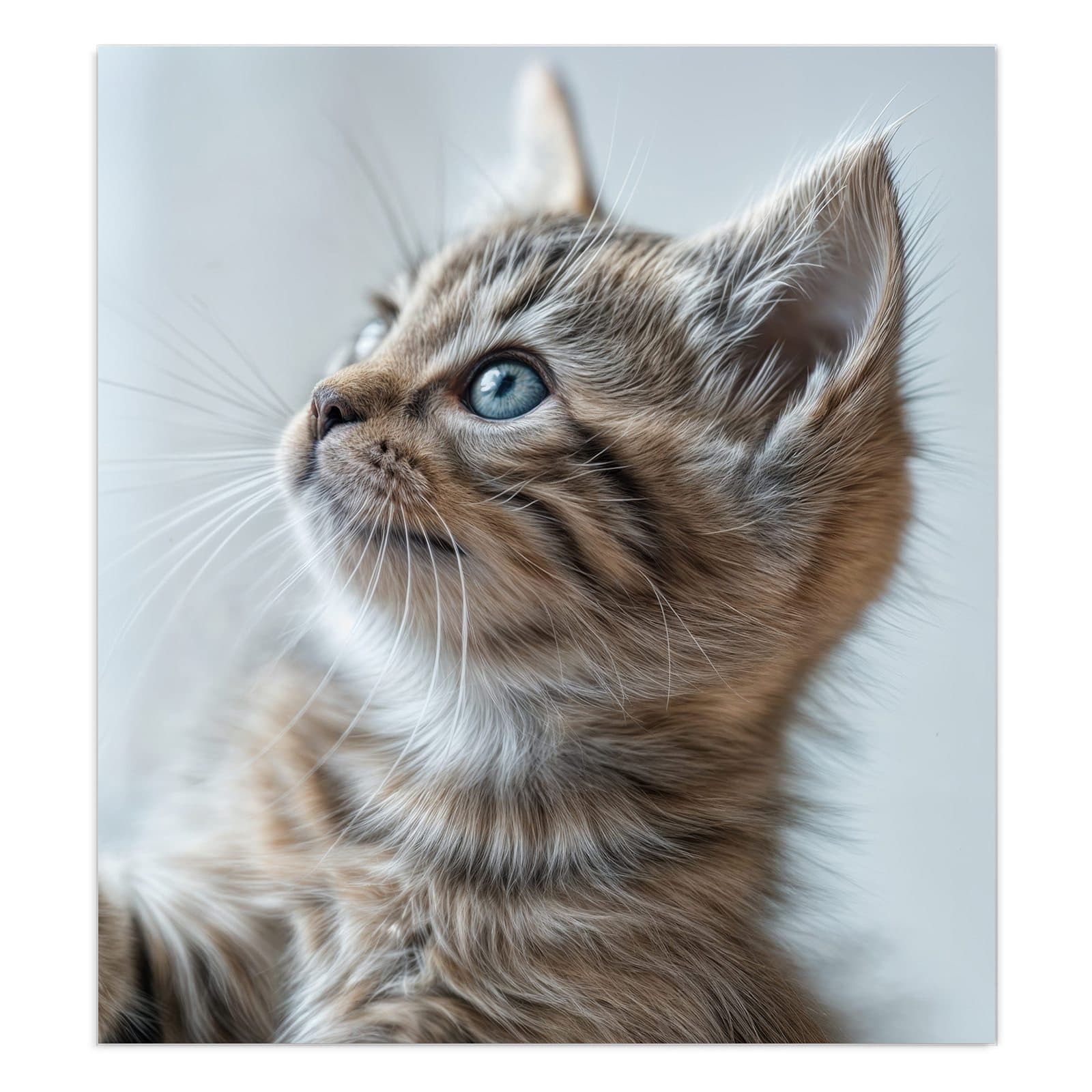 #grösse_90 x 100 cm