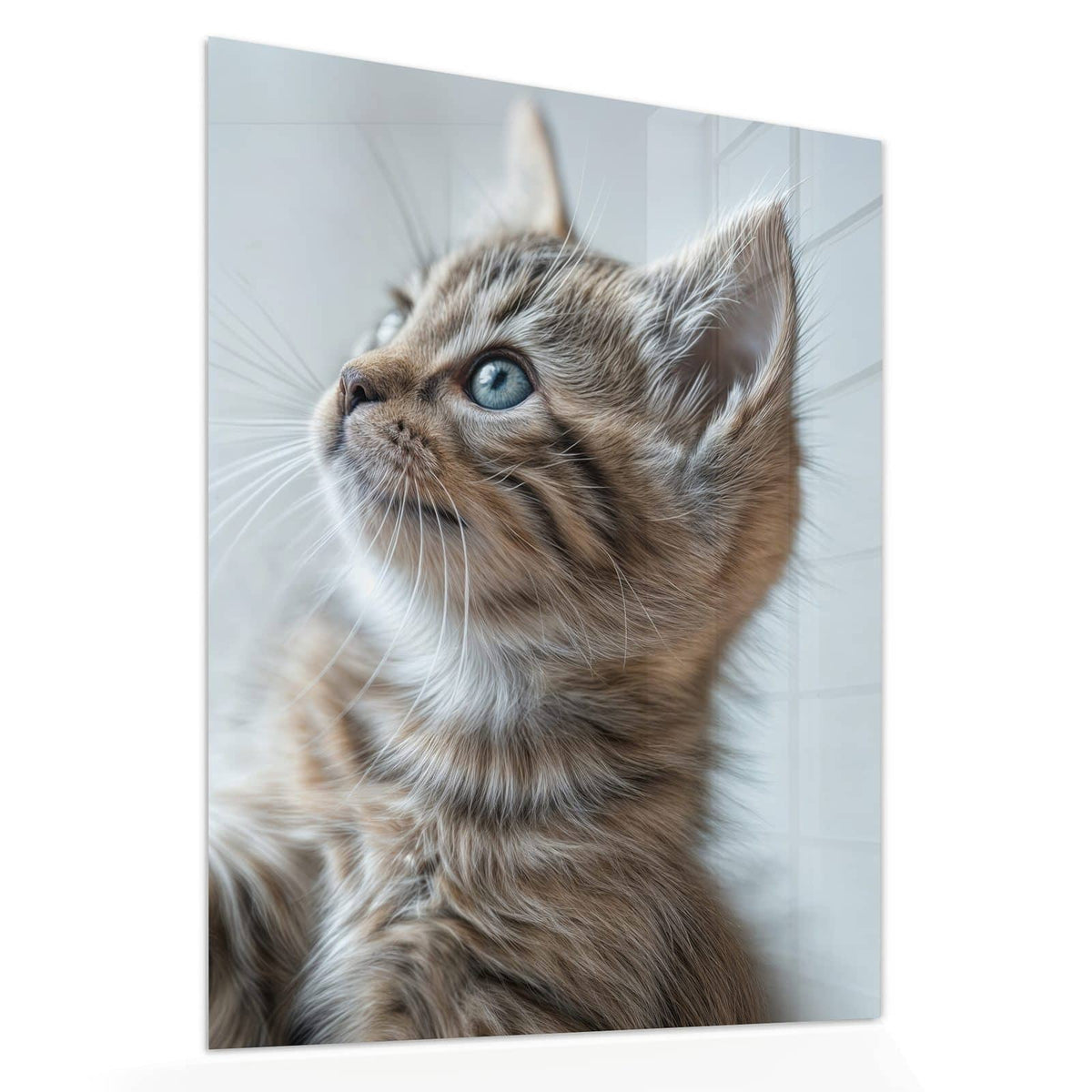 Echtglas, 4 mm – kein Acryl, keine Folie – Wandbild - Getigertes Kätzchen - Hochformat