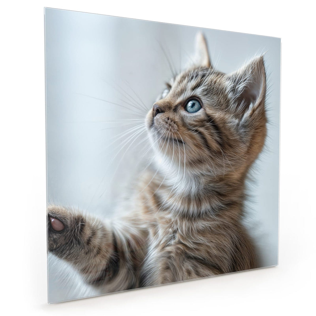 #grösse_40 x 40 cm #grösse_50 x 50 cm #grösse_60 x 60 cm