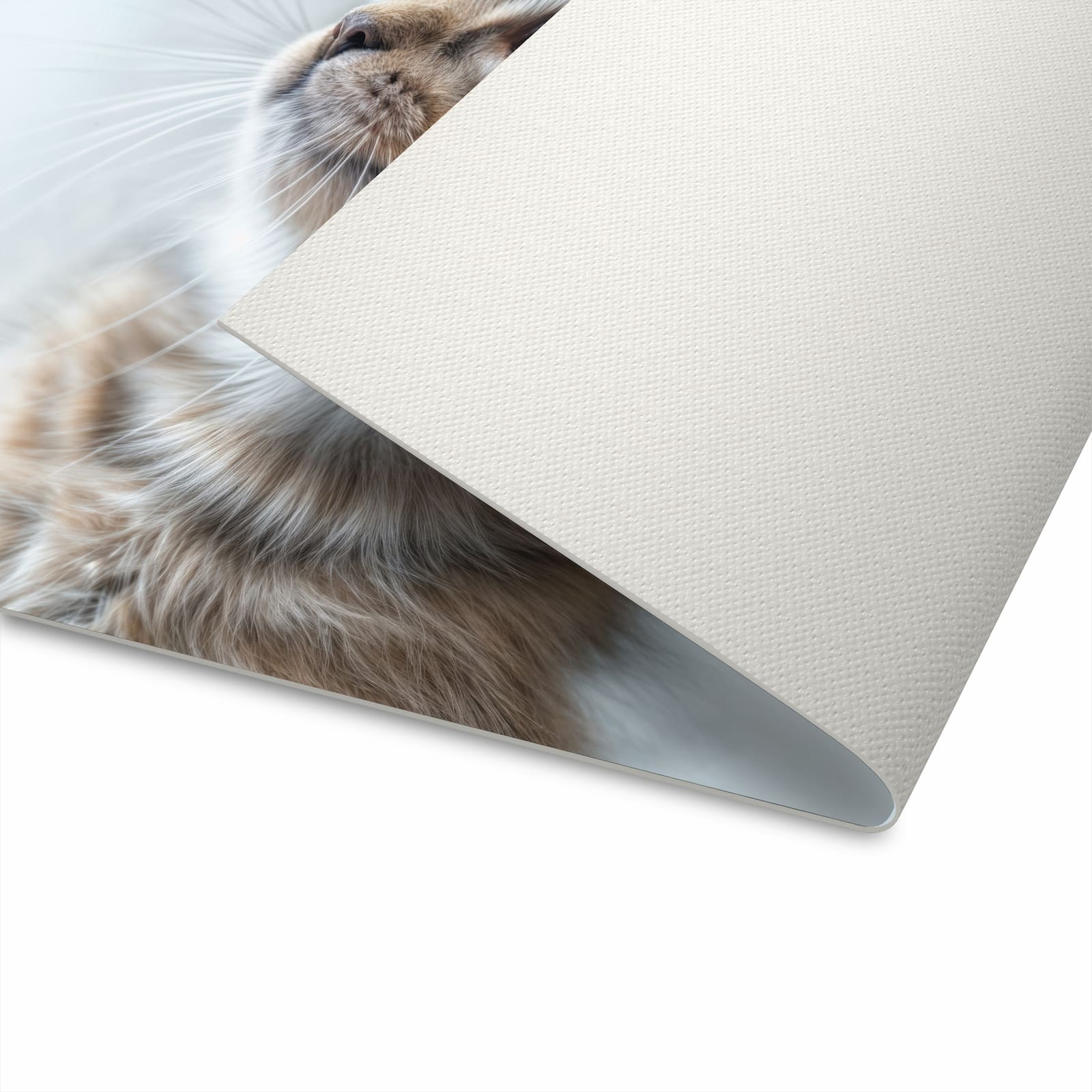 Waschbarer Teppich fürs Esszimmer mit Motiv Kätzchen22 für Trittkomfort